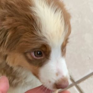 Meet your Posher, Jose